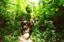 Belize-Interior-Ride & Relax in Belize